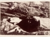 album-1901